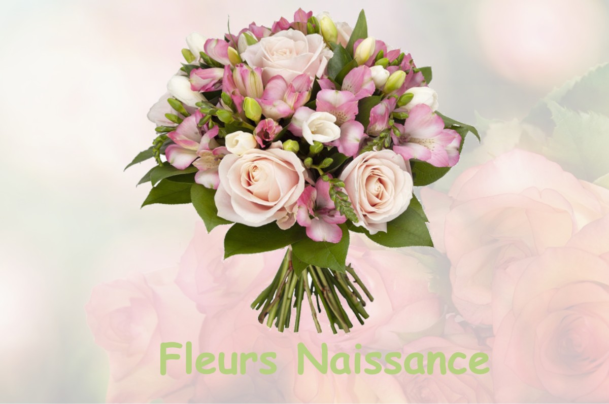 fleurs naissance FREVILLERS