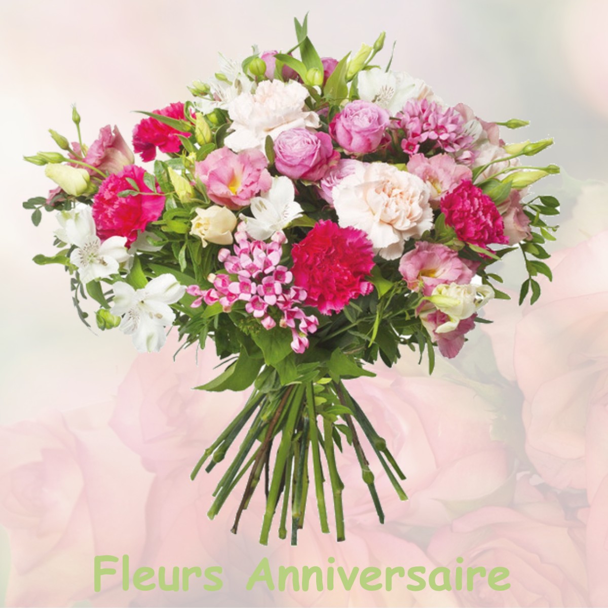 fleurs anniversaire FREVILLERS