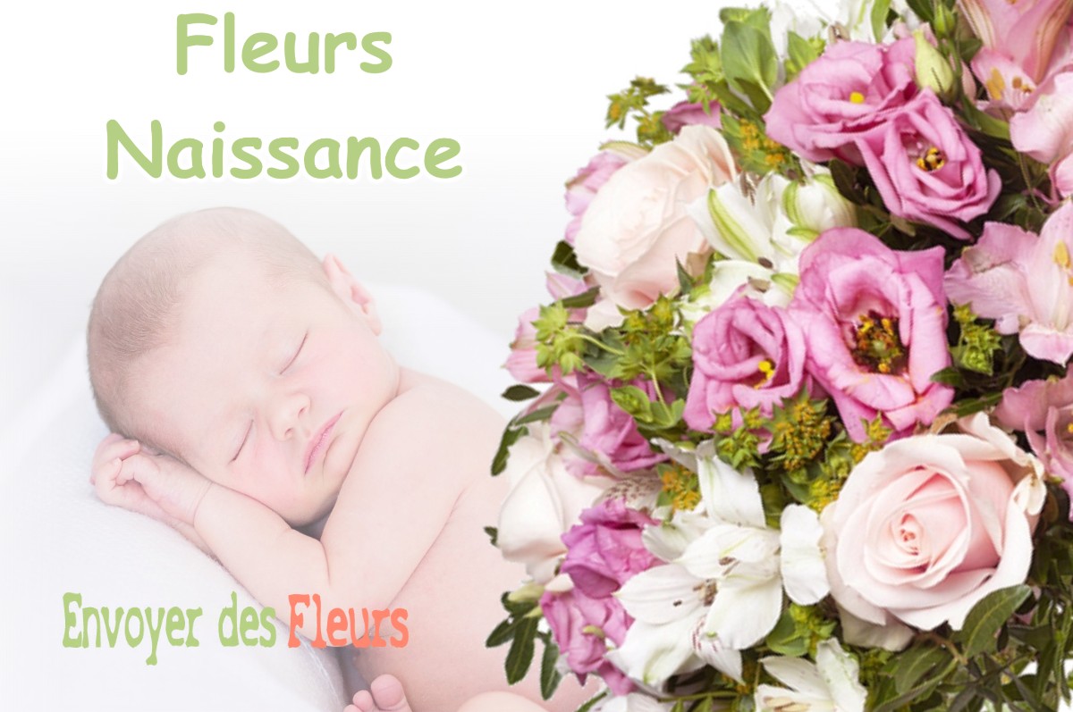 lIVRAISON FLEURS NAISSANCE à FREVILLERS